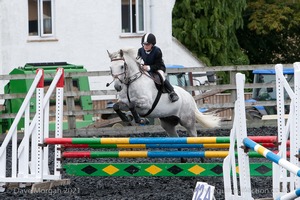 Class 6 - Fences not above 2'9